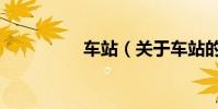 車站(關于車站的介紹)