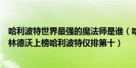 哈利波特世界最強的魔法師是誰(哈利波特十大魔法師:格林德沃上榜哈利波特僅排第十)