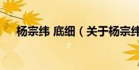 楊宗緯 底細(關于楊宗緯 底細的介紹)
