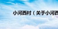小河西村(關于小河西村的介紹)