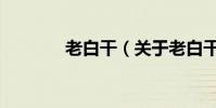 老白干(關于老白干的介紹)