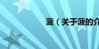 菠(關于菠的介紹)
