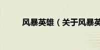 風暴英雄(關于風暴英雄的介紹)