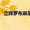 立輝羅布麻茶（關于立輝羅布麻茶的介紹）