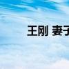 王剛 妻子（關于王剛 妻子的介紹）