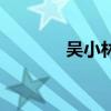 吳小林（關于吳小林的介紹）