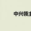 中興領主（關于中興領主的介紹）