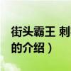 街頭霸王 刺客之拳（關于街頭霸王 刺客之拳的介紹）