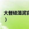 大督硅藻泥官網（關于大督硅藻泥官網的介紹）
