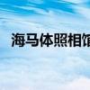 海馬體照相館（關于海馬體照相館的介紹）