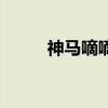神馬嘀嘀（關于神馬嘀嘀的介紹）