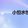 小恒水餃（關于小恒水餃的介紹）