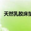 天然乳膠床墊（關于天然乳膠床墊的介紹）