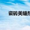 瓷磚美縫劑（關于瓷磚美縫劑的介紹）