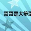 哥哥是大笨蛋（關于哥哥是大笨蛋的介紹）
