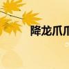 降龍爪爪（關于降龍爪爪的介紹）