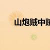 山炮賊中賊（關于山炮賊中賊的介紹）