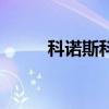科諾斯科（關于科諾斯科的介紹）
