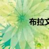 布拉文（關于布拉文的介紹）