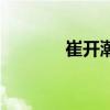 崔開潮（關于崔開潮的介紹）
