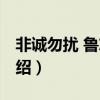 非誠勿擾 魯志焰（關于非誠勿擾 魯志焰的介紹）