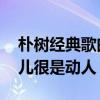 樸樹經典歌曲排行榜（平凡之路上榜,那些花兒很是動人）