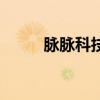 脈脈科技（關于脈脈科技的介紹）