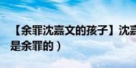 【余罪沈嘉文的孩子】沈嘉文的孩子是誰的(是余罪的)