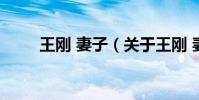 王剛 妻子(關于王剛 妻子的介紹)