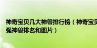 神奇寶貝幾大神獸排行榜(神奇寶貝四大神獸:神奇寶貝最強神獸排名和圖片)