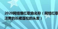 2020網絡爆紅歌曲名稱(網絡紅歌2020火爆歌曲排行榜:淡黃的長裙蓬松的頭發)