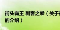 街頭霸王 刺客之拳(關于街頭霸王 刺客之拳的介紹)