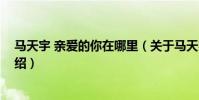 馬天宇 親愛的你在哪里(關于馬天宇 親愛的你在哪里的介紹)