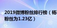 2019微博粉絲排行榜(楊冪第3楊穎第2第一粉絲為1.23億)
