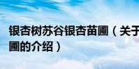 銀杏樹蘇谷銀杏苗圃(關于銀杏樹蘇谷銀杏苗圃的介紹)