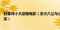 好萊塢十大動物電影(忠犬八公與小熊維尼上榜第一名副其實)