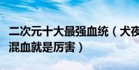 二次元十大最強血統(犬夜叉與黑崎上榜雜交混血就是厲害)