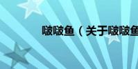 啵啵魚(關于啵啵魚的介紹)