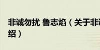 非誠勿擾 魯志焰(關于非誠勿擾 魯志焰的介紹)