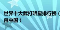 世界十大武打明星排行榜(西格爾上榜第二來自中國)