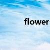 flowers（關于flowers的介紹）