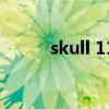 skull 11（關于skull 11的介紹）