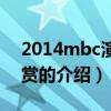 2014mbc演藝大賞（關于2014mbc演藝大賞的介紹）