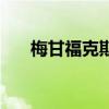 梅甘福克斯（關于梅甘福克斯的介紹）