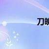 刀魄（關于刀魄的介紹）