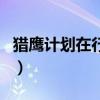 獵鷹計劃在行動（關于獵鷹計劃在行動的介紹）