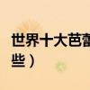 世界十大芭蕾舞劇（芭蕾舞經典劇目你看過哪些）