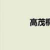高茂桐（關于高茂桐的介紹）