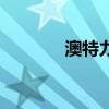澳特力（關于澳特力的介紹）