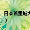 日本首里城大火（關于日本首里城大火的介紹）